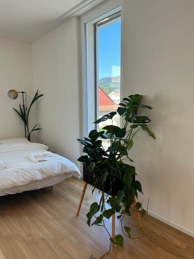 The R Apartment Passwang, Klima, Neu, Balkon, Parking Balsthal Exterior photo